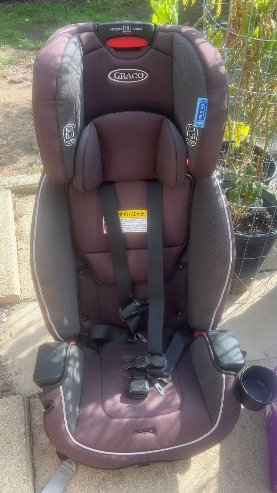Graco Car Seat
