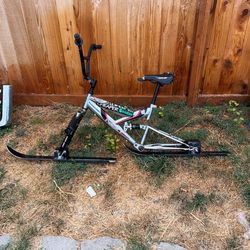 Snow Bike/sand Bike 