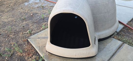 Dog house