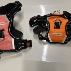 Dog Harnesses And Cable Thingy