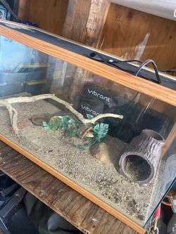 Terrarium