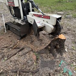 Stump Grinding 
