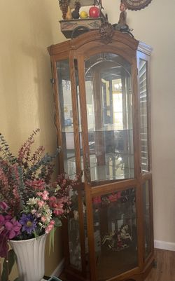 Glass cabinet display - Curio