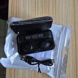 Bluetooth Earbuds ( USB C) 