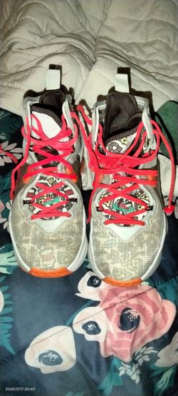 LeBron James basketball shoes size is 4Y