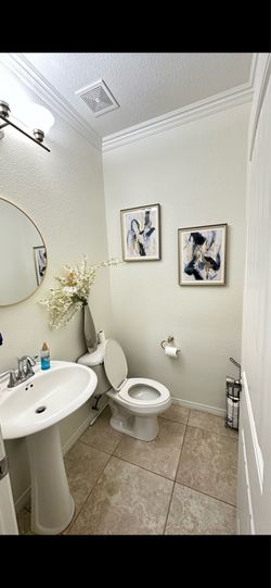 Free Pedestal Sink and Toilet