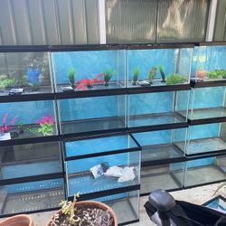 20 Gallon Fish Tank 20 Tanks Available 