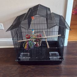 Bird Cage