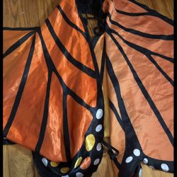 Kids Butterflies Wings 