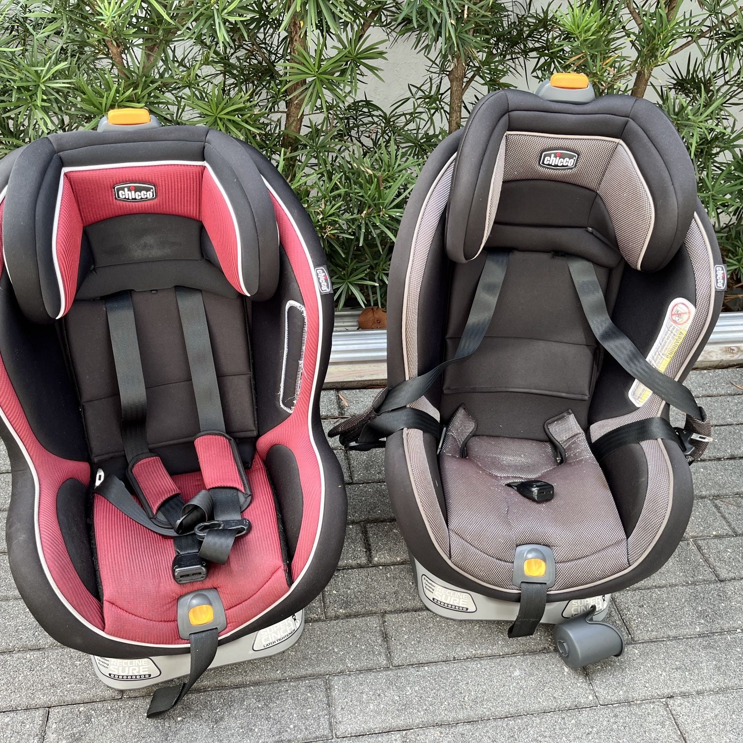 Two (2) Chicco Nextfit Car Seats