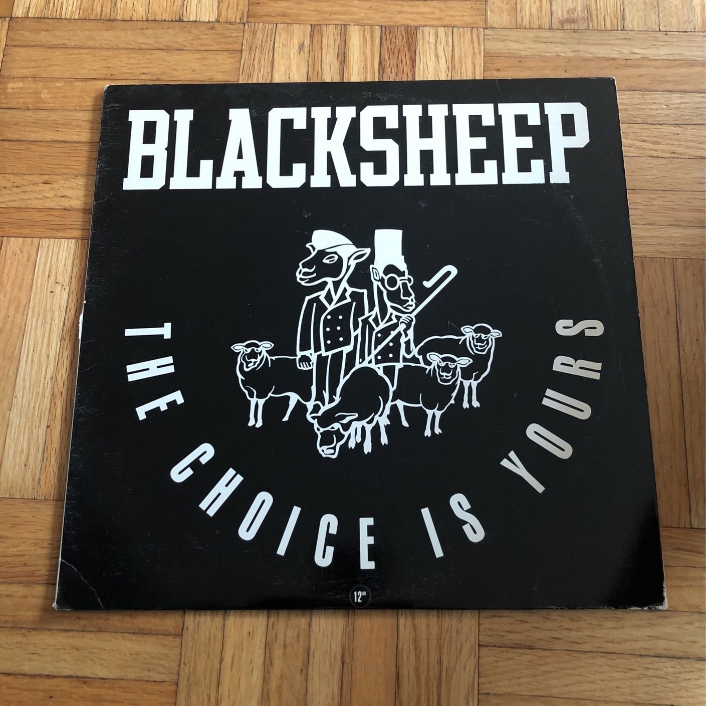 Album Single - Black Sheep- The Choice Is Yours