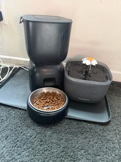 Automatic cat feeder & water fountain