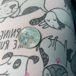 Quarter worth a lot of money