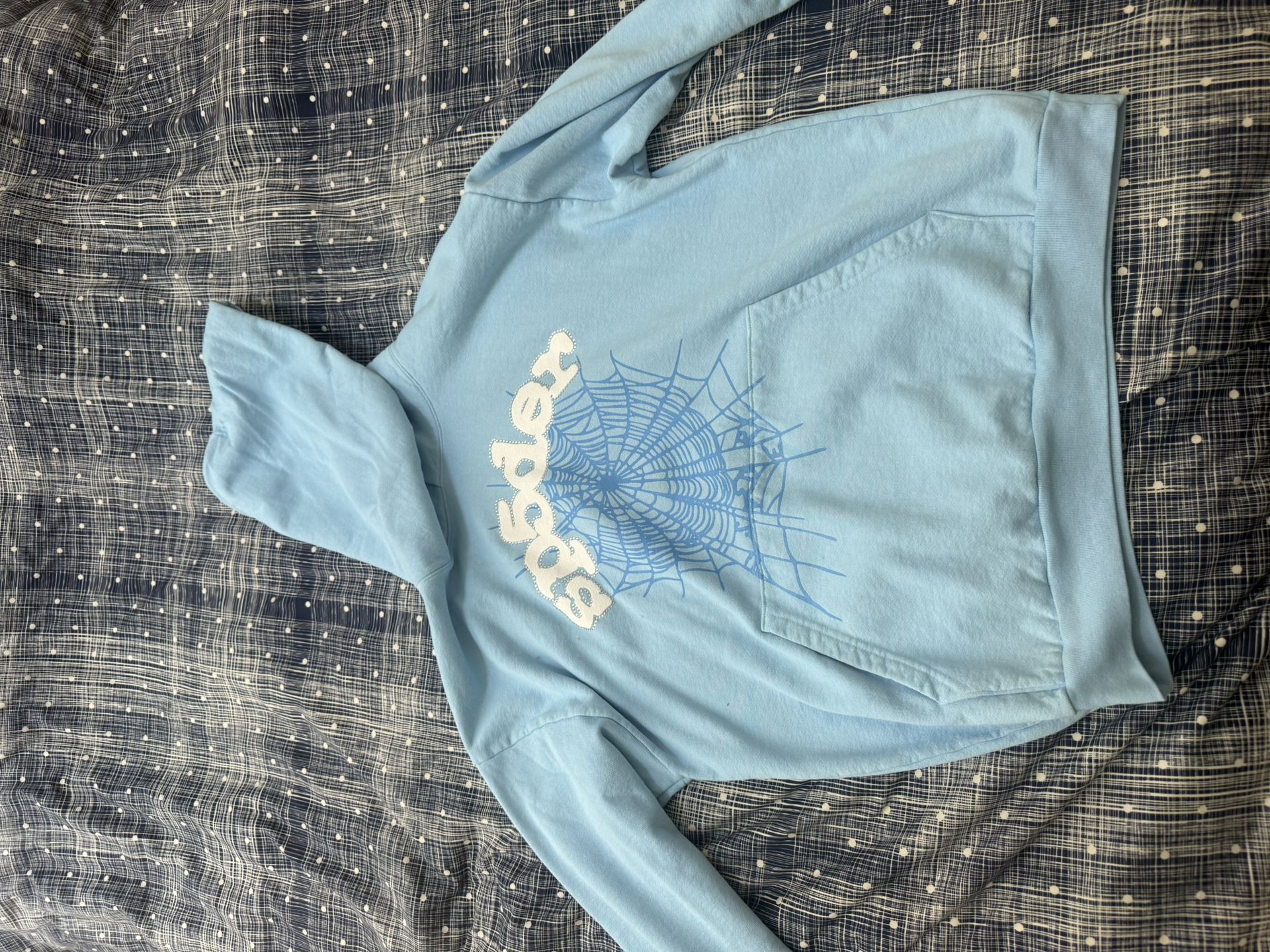 Blue Spider Hoodie