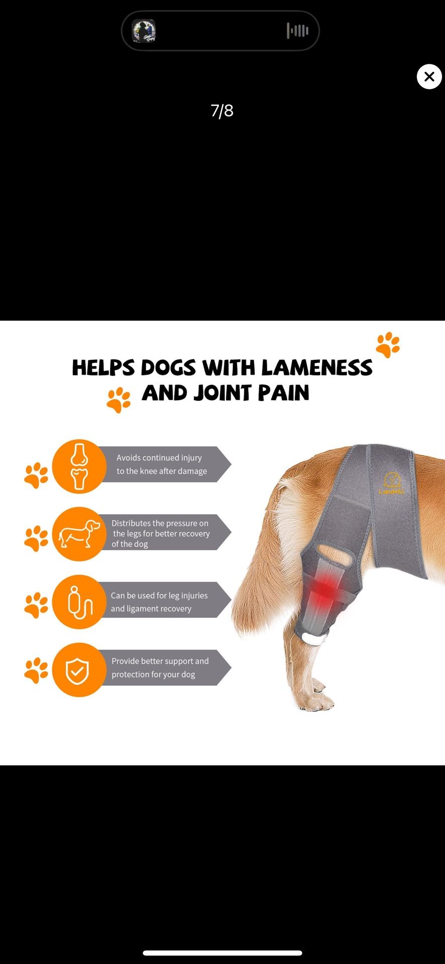 Dog Knee Brace