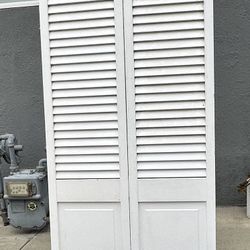 Single Shutter Door/ Closet Door/ Pantry Door 