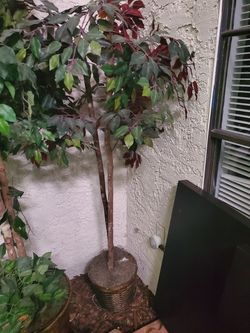 5 artificial plants