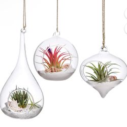 3 Pack Glass Ornament Clear Hanging Plant Holder