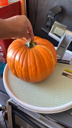 Pumpkin case
