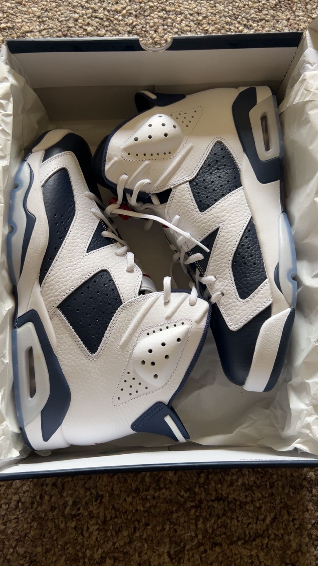 Jordan 6 Olympics