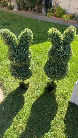 Topiary Bunny Set Of 2