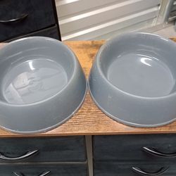 Large Grey Dog 🐕 Dishes