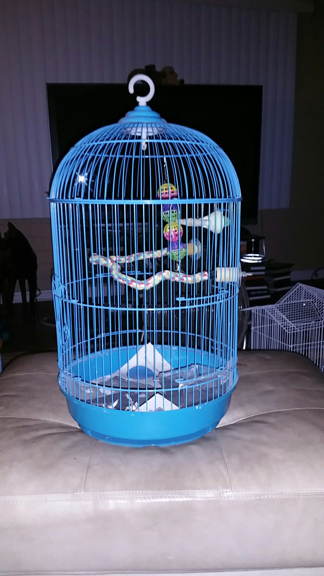 Bird cage