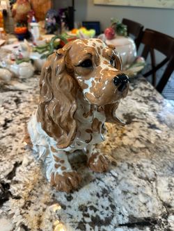 Kay Finch Cocker Spaniel