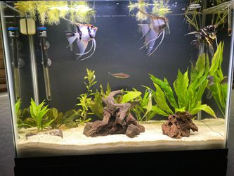 37 Gallon With Stand  Thumbnail