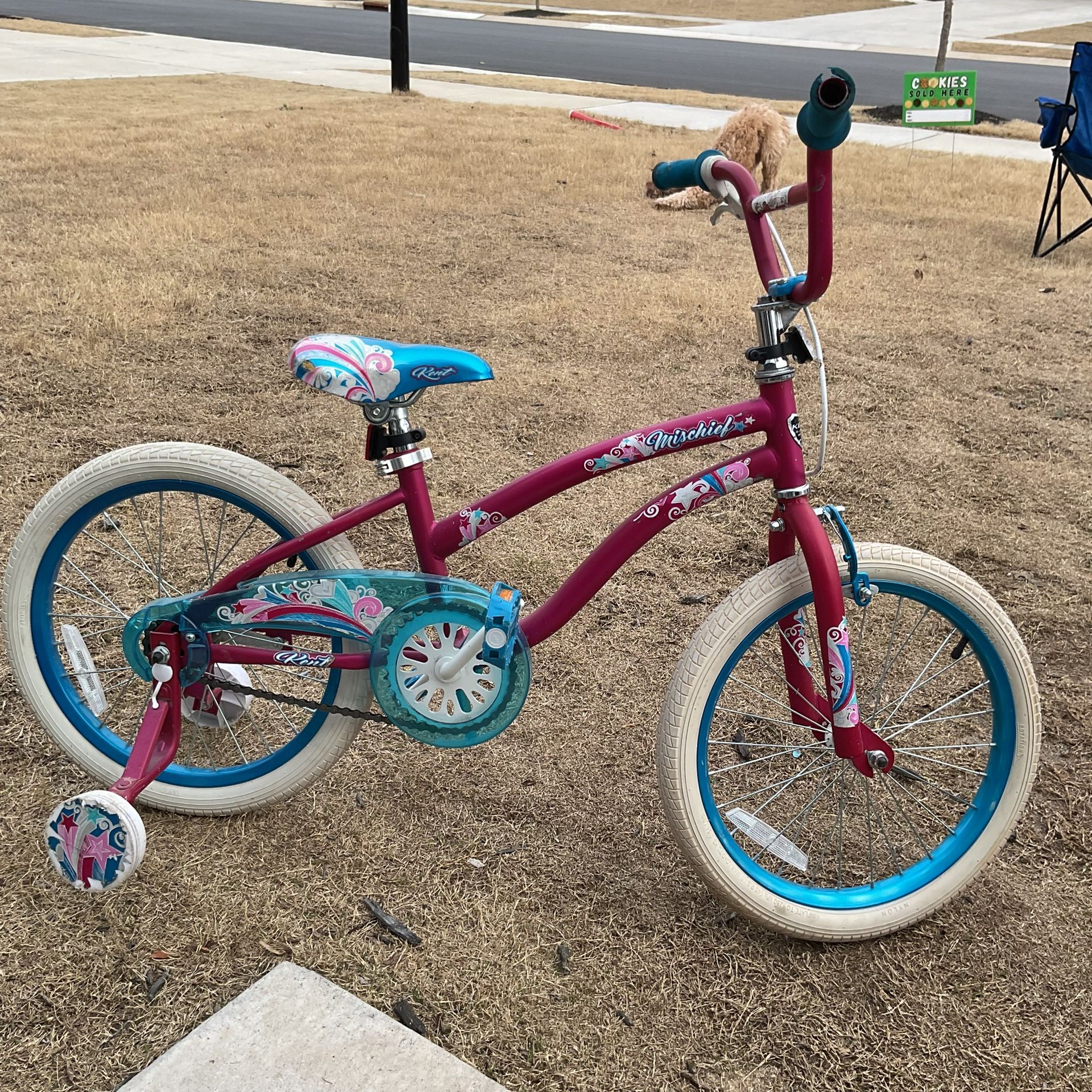 26in Bike $40