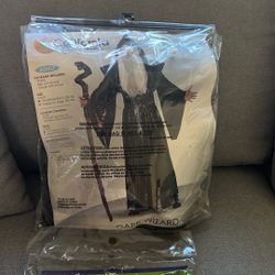 Halloween Costumes- Dark Wizard