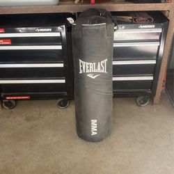 Heavy Bag Everlast