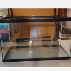 37 Gallon Fish Tank