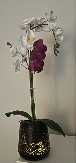 Lighted Orchid Pot - Floral Arrangement with Accent Light / Orquídea con Luz