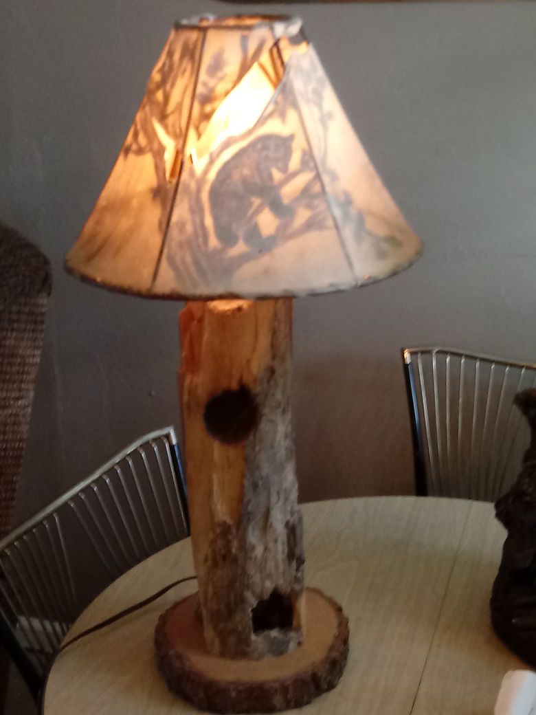 Old woodpecker tree made into table lamp
