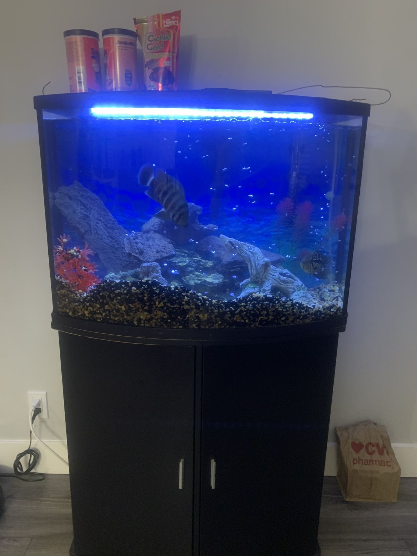 35 Gallon Fish Tank With All The Accessories And Stand.