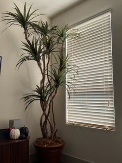 Tall fake plant