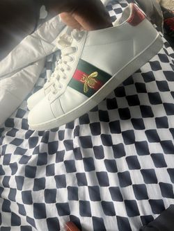 Gucci Aces