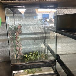 Used Tanks/Aquariums/Reptile Supplies