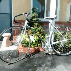 Carbon Fiber And Chrome Road Bike