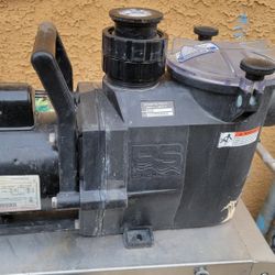 Hayward Pool Pump 1hp 