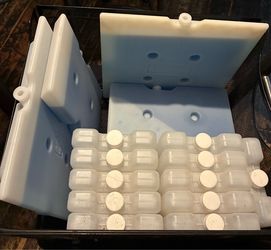 Ice packs plus container