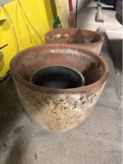 Terra Cotta planters
