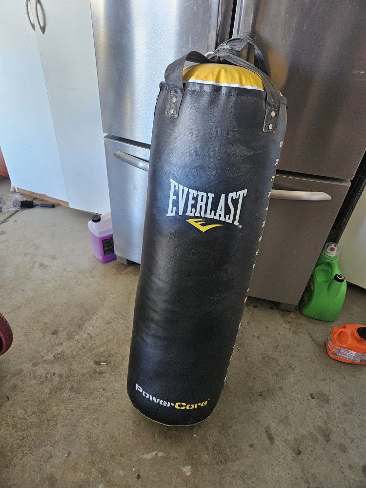 Everlast 70lb Punching Bag. 