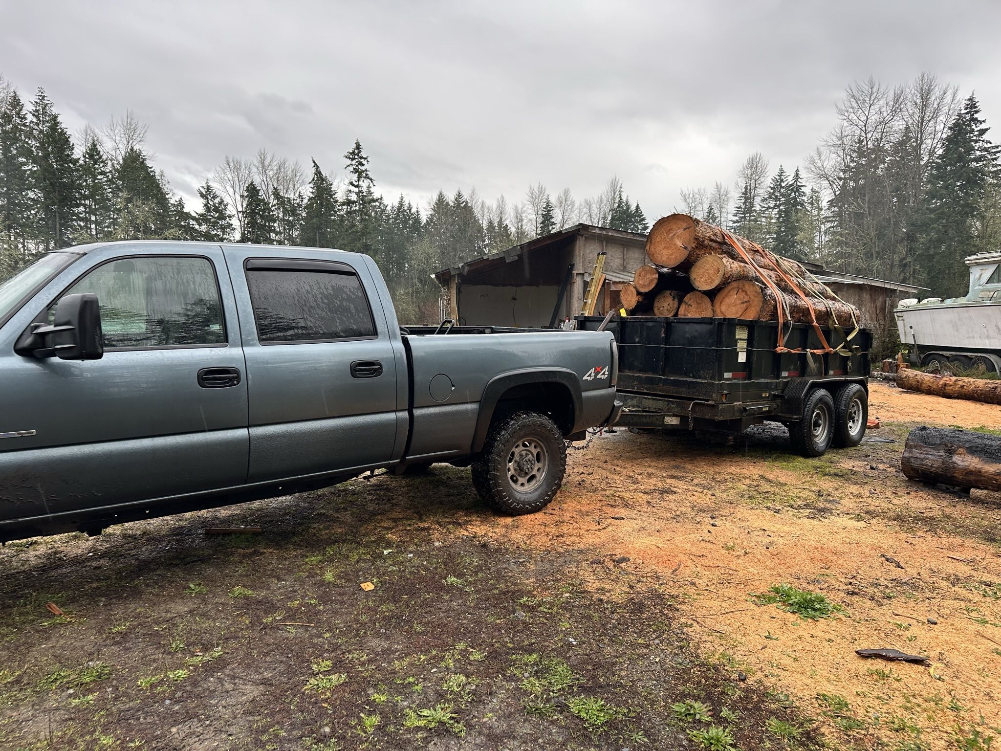 Firewood