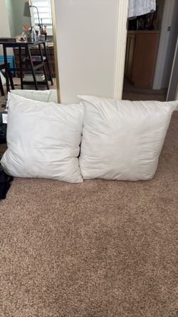 2 European pillow inserts