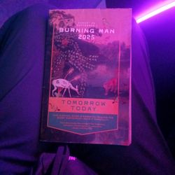 Burning Man Tickets ONE Left Low Price For A Lucky Person 