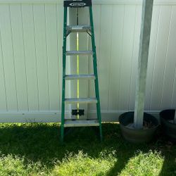 6Foot Werner Ladder