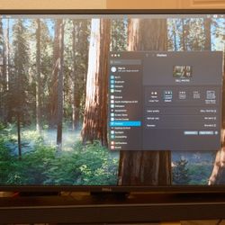 Dell P4317Q 43'' 4k Monitor with Stand