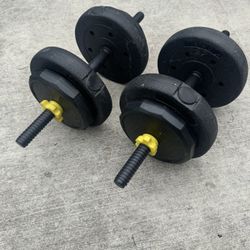 Exercise Weights